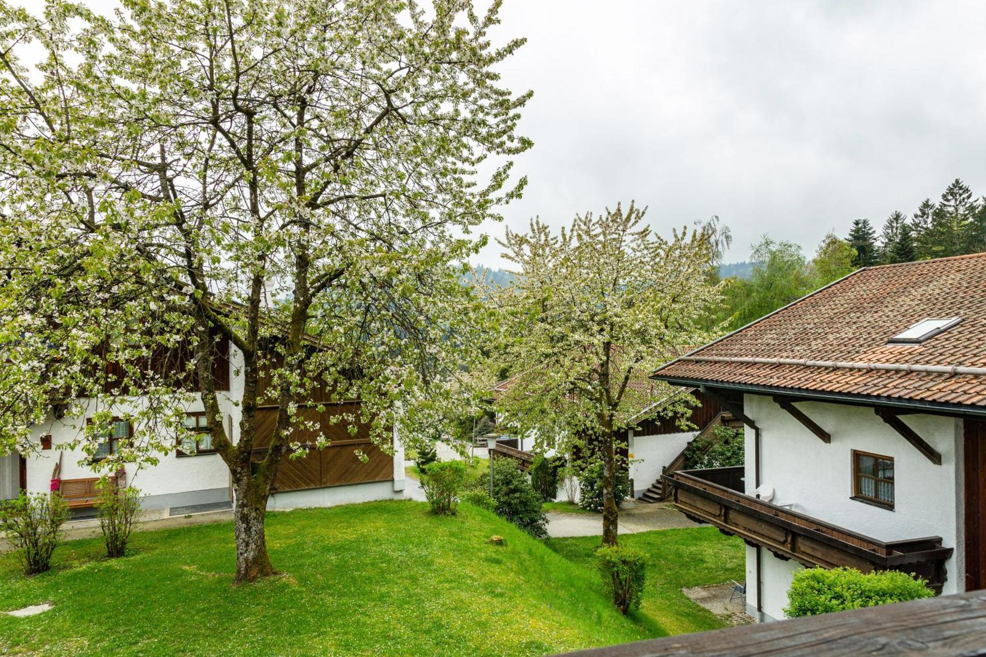 Komfortwohnung Mit Pool Und Sauna Hauzenberg Zewnętrze zdjęcie